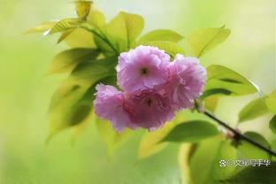 弹无虚发！雷霆首节三分6投全中轰下41分领先奇才